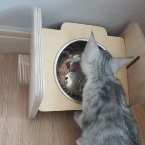 베스트 후기 이미지