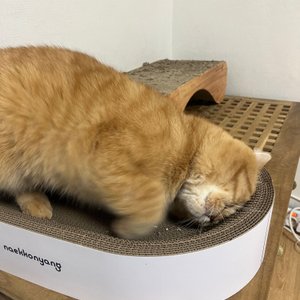 베스트 후기 이미지