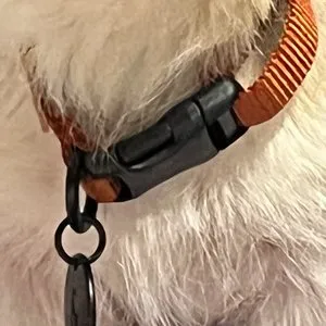 베스트 후기 이미지