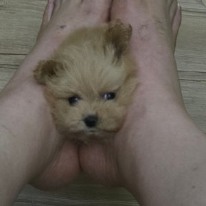 베스트 후기 이미지