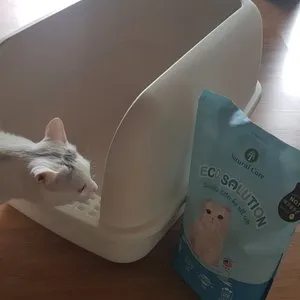 베스트 후기 이미지