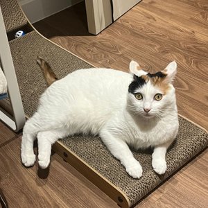 베스트 후기 이미지