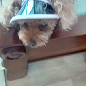 베스트 후기 이미지