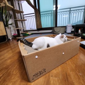 베스트 후기 이미지