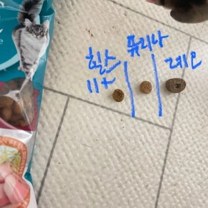 [사료샘플] 퓨리나 캣 원 유리너리 어덜트 50g 베스트 후기 이미지