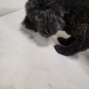 베스트 후기 이미지