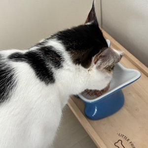 베스트 후기 이미지