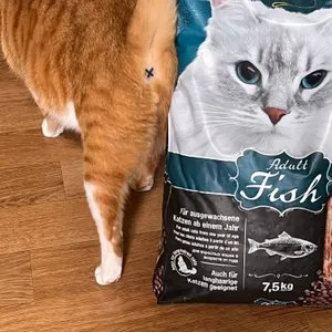 베스트 후기 이미지