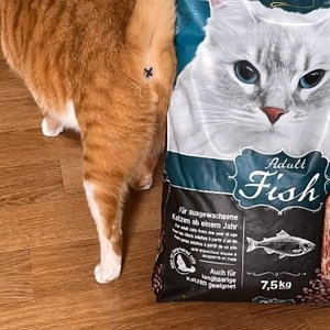 레오나르도 캣 푸드 피쉬 어덜트 7.5kg 베스트 후기 이미지