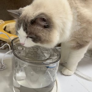 베스트 후기 이미지