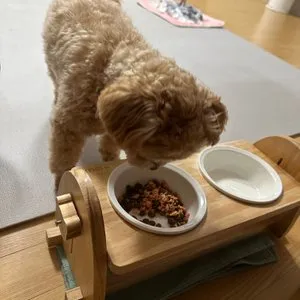 베스트 후기 이미지