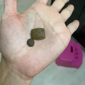 베스트 후기 이미지