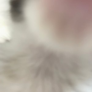 베스트 후기 이미지