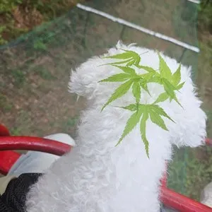 베스트 후기 이미지