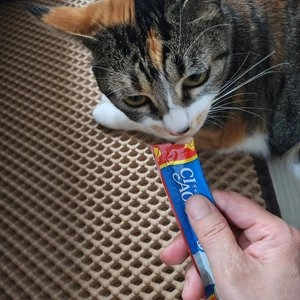 이나바 캣 챠오 츄르 참치 버라이어티 14g*40p 베스트 후기 이미지