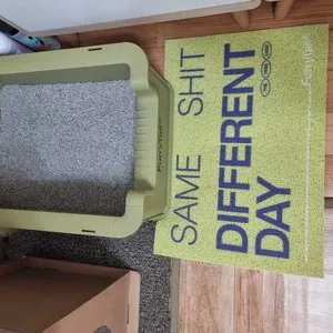 베스트 후기 이미지