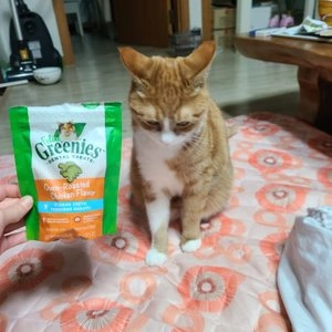 그리니즈 캣 필라인 덴탈 트릿 닭고기맛 130g 베스트 후기 이미지