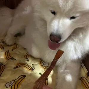 베스트 후기 이미지