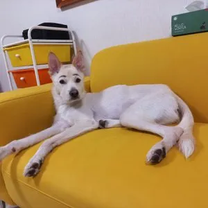 베스트 후기 이미지