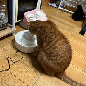 베스트 후기 이미지