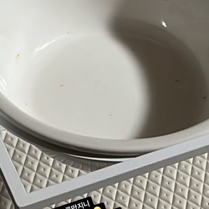 베스트 후기 이미지