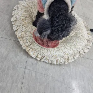 베스트 후기 이미지