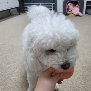 베스트 후기 이미지