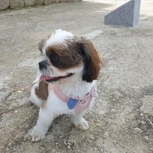 베스트 후기 이미지