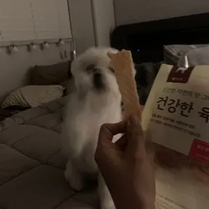 베스트 후기 이미지