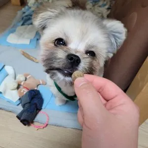 베스트 후기 이미지