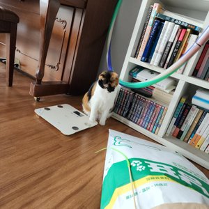 베스트 후기 이미지