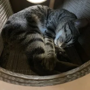 베스트 후기 이미지