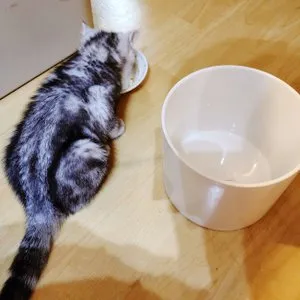 베스트 후기 이미지