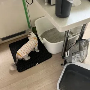 베스트 후기 이미지