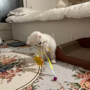베스트 후기 이미지