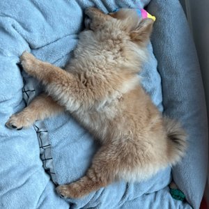 베스트 후기 이미지