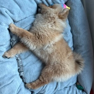 이너프파이브 빅사이즈 소파 방석 그레이 베스트 후기 이미지