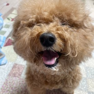 베스트 후기 이미지