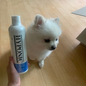 베스트 후기 이미지