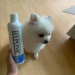 베스트 후기 이미지