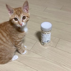 베스트 후기 이미지