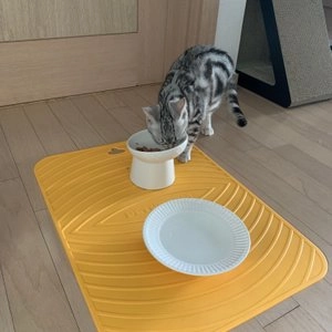 요기쏘 세라믹 식기 1구 화이트/민트 베스트 후기 이미지