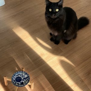 베스트 후기 이미지