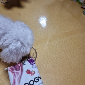 베스트 후기 이미지