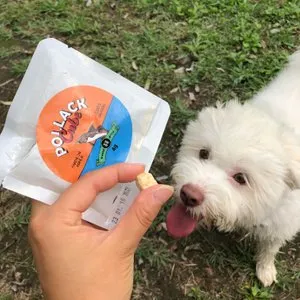 베스트 후기 이미지