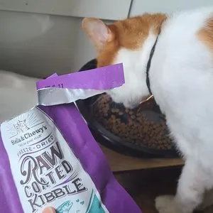 베스트 후기 이미지