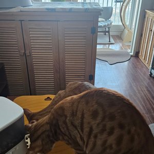 베스트 후기 이미지