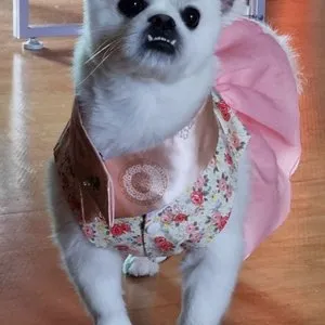 베스트 후기 이미지