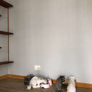 베스트 후기 이미지