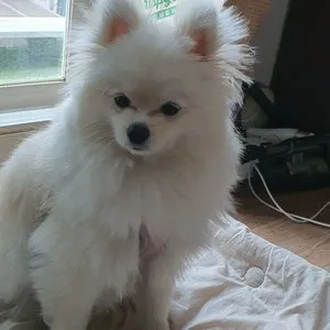 베스트 후기 이미지